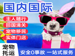 重庆空运地址国际宠物托运 【国